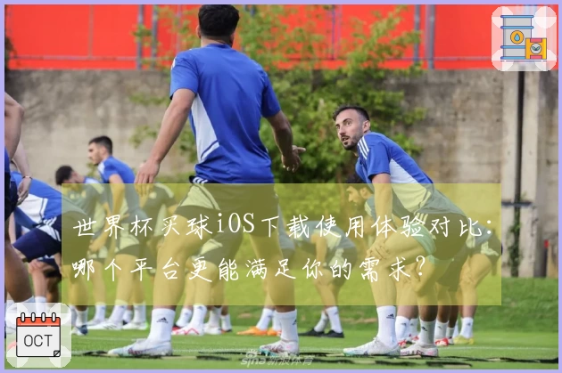 世界杯买球iOS下载使用体验对比：哪个平台更能满足你的需求？
