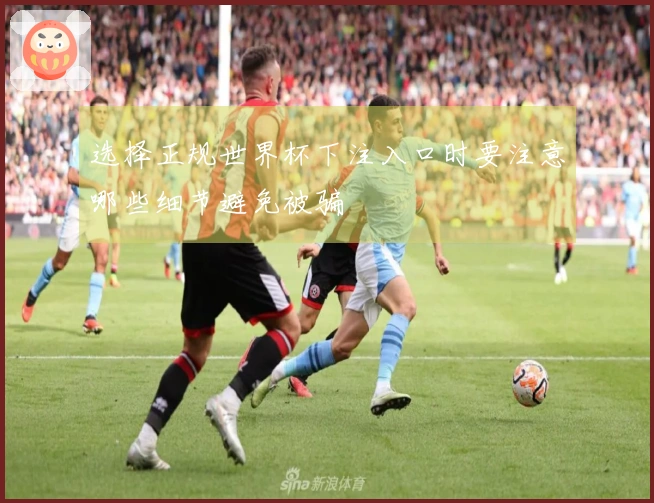 选择正规世界杯下注入口时要注意哪些细节避免被骗