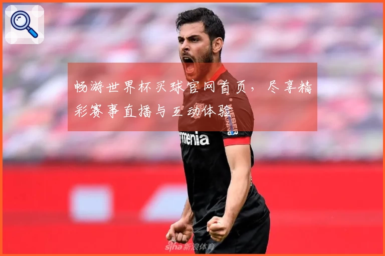 畅游世界杯买球官网首页，尽享精彩赛事直播与互动体验