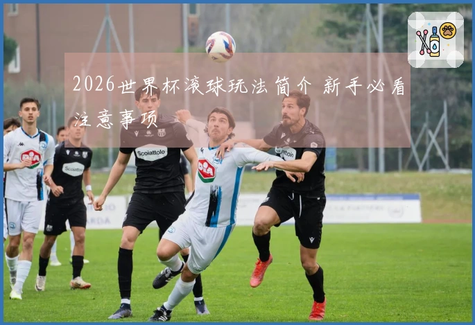 2026世界杯滚球玩法简介 新手必看注意事项