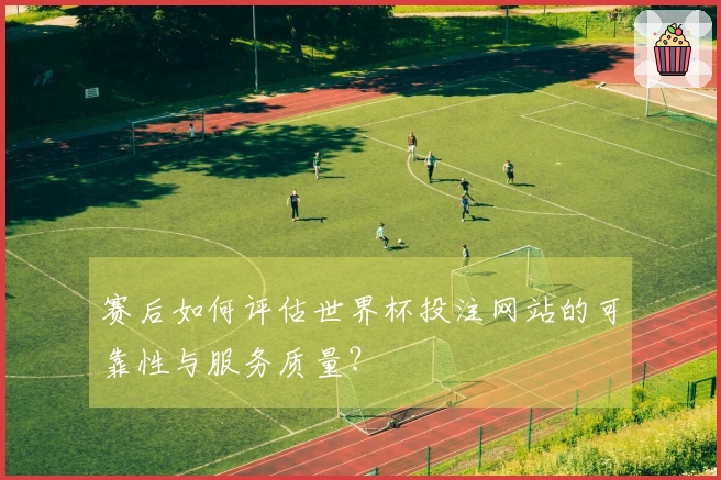 赛后如何评估世界杯投注网站的可靠性与服务质量?