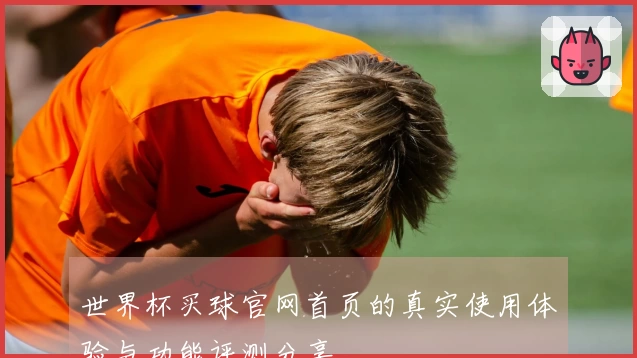 世界杯买球官网首页的真实使用体验与功能评测分享