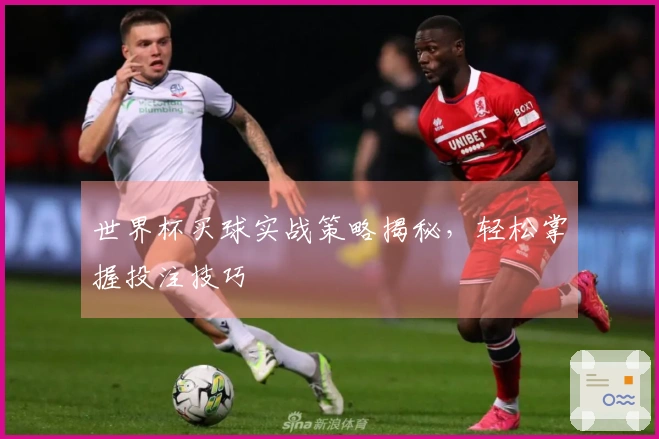 世界杯买球实战策略揭秘，轻松掌握投注技巧