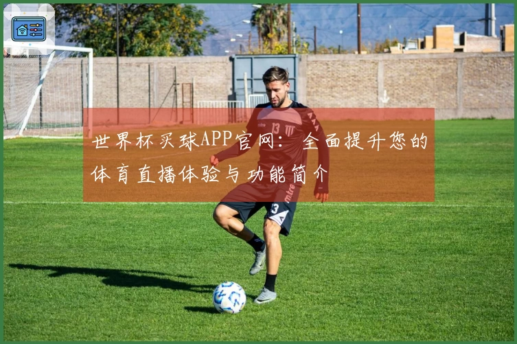 世界杯买球APP官网：全面提升您的体育直播体验与功能简介