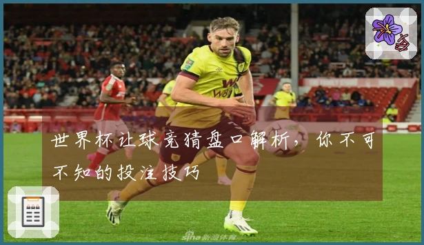 世界杯让球竞猜盘口解析，你不可不知的投注技巧