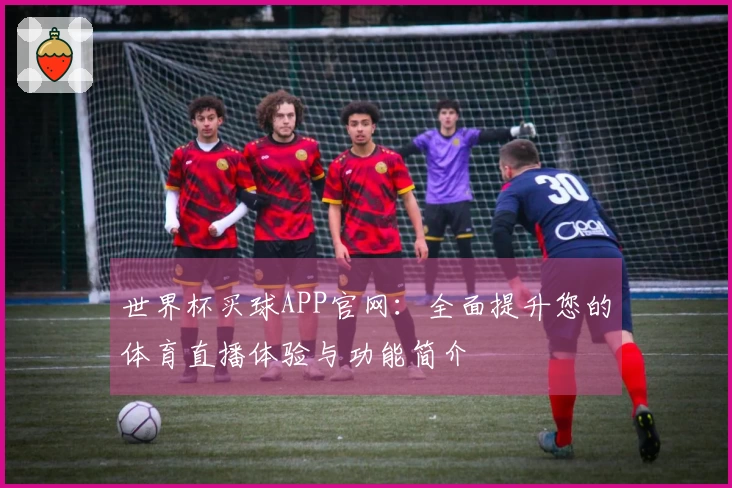 世界杯买球APP官网:全面提升您的体育直播体验与功能简介