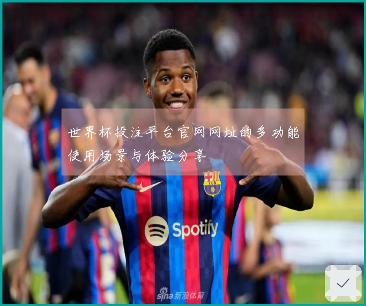 世界杯投注平台官网网址的多功能使用场景与体验分享