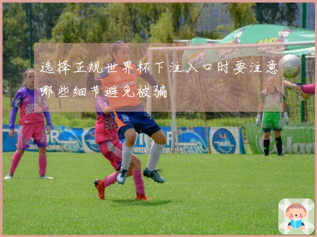 选择正规世界杯下注入口时要注意哪些细节避免被骗