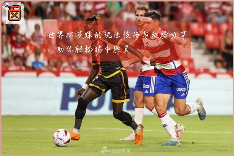 世界杯滚球的玩法技巧与经验分享,助你轻松猜中胜负