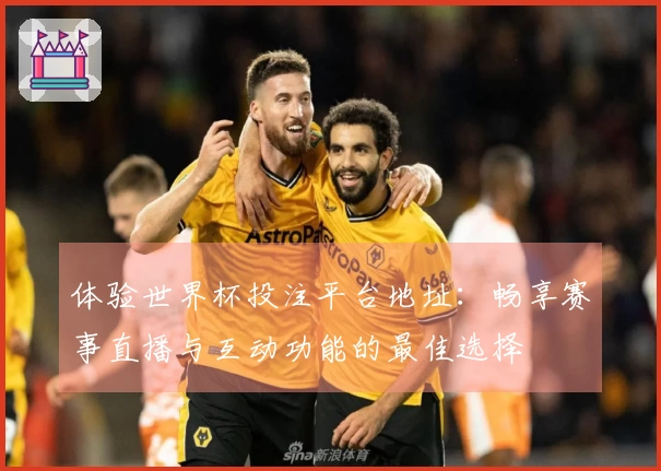 体验世界杯投注平台地址：畅享赛事直播与互动功能的最佳选择