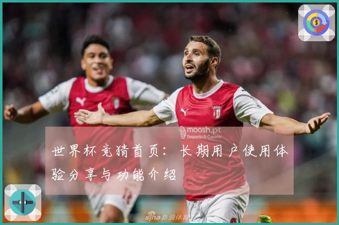 世界杯竞猜首页：长期用户使用体验分享与功能介绍