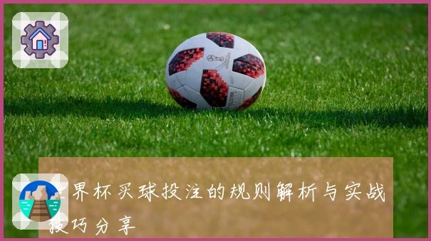 世界杯买球投注的规则解析与实战技巧分享