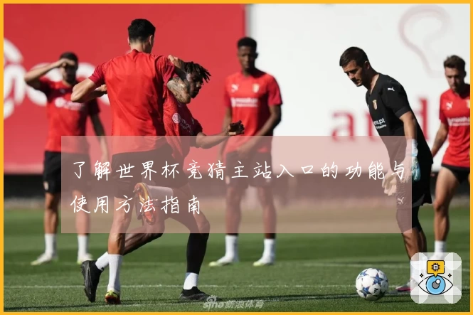 了解世界杯竞猜主站入口的功能与使用方法指南