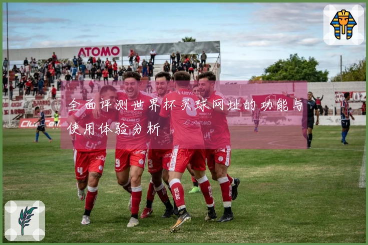 全面评测世界杯买球网址的功能与使用体验分析