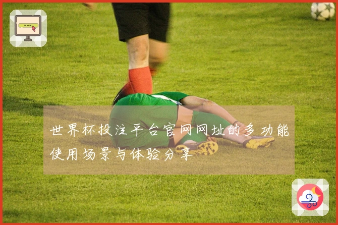 世界杯投注平台官网网址的多功能使用场景与体验分享