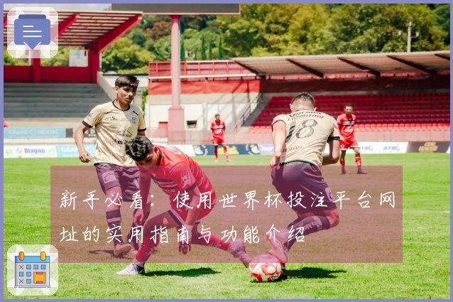 新手必看：使用世界杯投注平台网址的实用指南与功能介绍