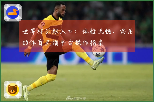 世界杯买球入口:体验流畅、实用的体育直播平台操作指南