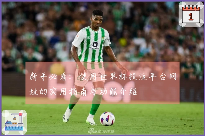 新手必看:使用世界杯投注平台网址的实用指南与功能介绍