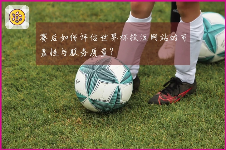 赛后如何评估世界杯投注网站的可靠性与服务质量？